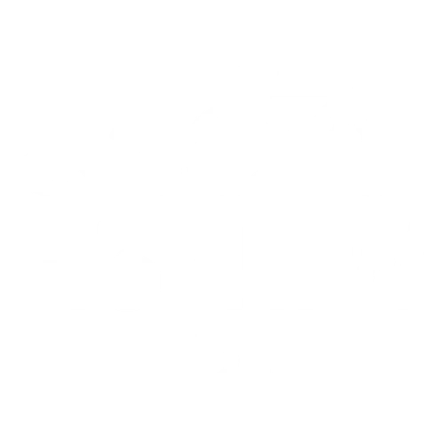 R3NEW RIDES